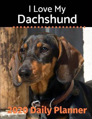 Cover of I Love My Dachshund