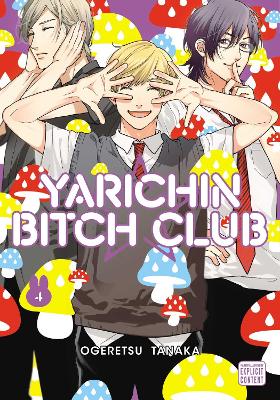 Book cover for Yarichin Bitch Club, Vol. 4