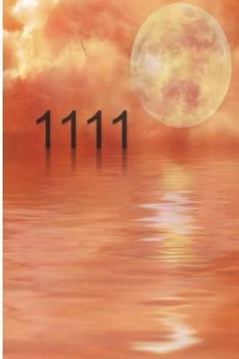 Book cover for 1111