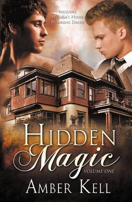 Book cover for Hidden Magic Volume One