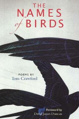 Cover of The Names of Birds