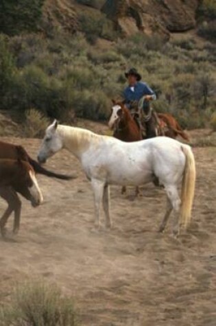 Cover of 2020 Daily Planner Horse Photo Equine Cowboy Horseback 388 Pages