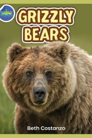 Cover of Grizzly Bear Activity Workbook ages 4-8