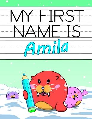 Book cover for My First Name is Amila