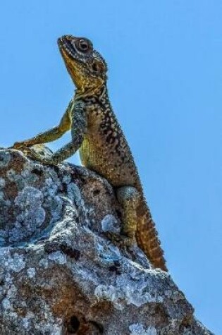 Cover of Lizard Says "I Can See My House from Up Here" Journal