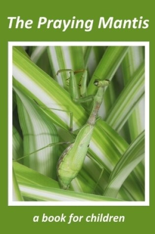 Cover of The Praying Mantis - a book for children
