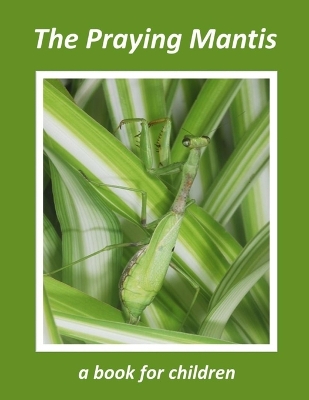 Book cover for The Praying Mantis - a book for children