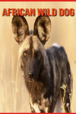 Cover of African wild dog