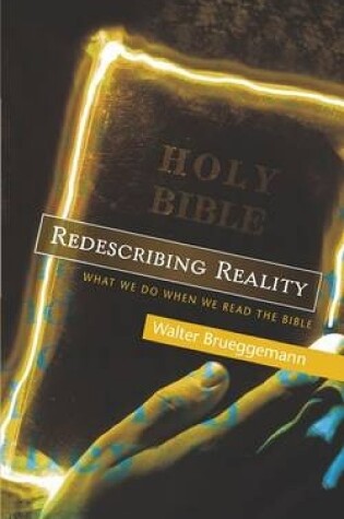 Cover of Redescribing Reality