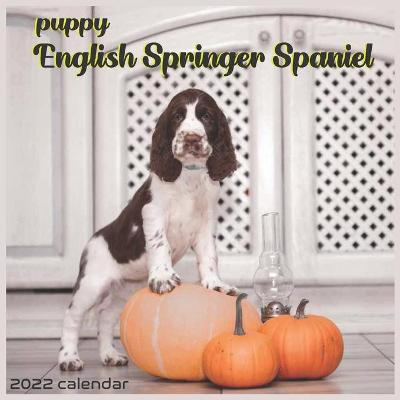 Book cover for English Springer Spaniel Puppy 2022 Calendar