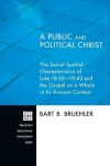 Book cover for A Public and Political Christ