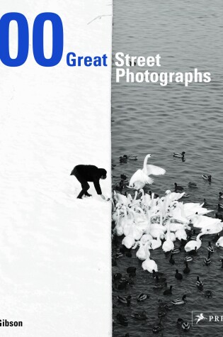 Cover of 100 Great Street Photographs