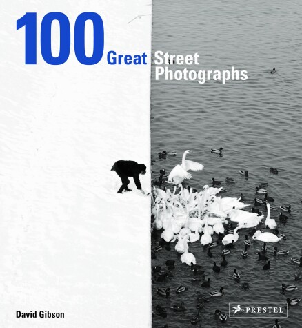 Book cover for 100 Great Street Photographs