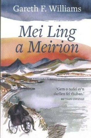 Cover of Mei Ling a Meirion