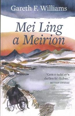 Book cover for Mei Ling a Meirion