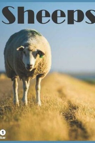 Cover of Sheeps 2021 Wall Calendar