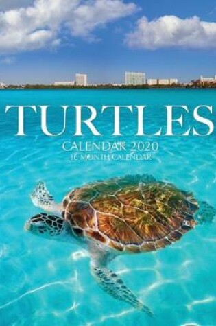 Cover of Turtles Calendar 2020