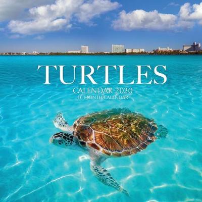 Book cover for Turtles Calendar 2020