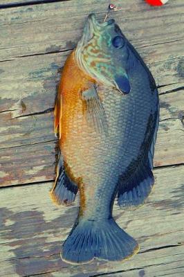 Book cover for Blue Gill Fish Pretty Blank Lined Journal for daily thoughts notebook Lovely Lake Arrowhead Photograph