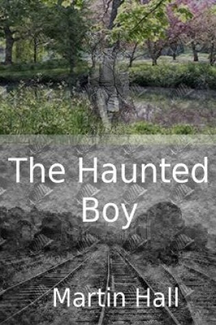 Cover of The Haunted Boy