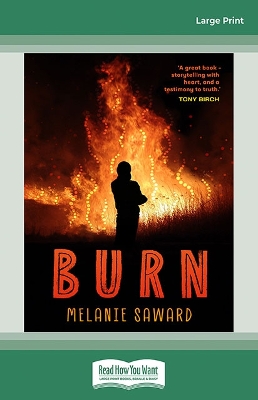 Book cover for Burn