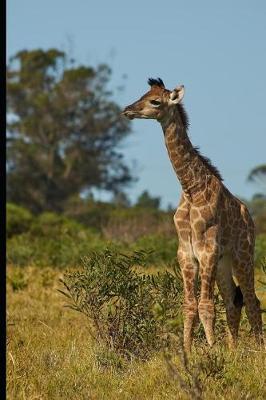 Book cover for Lovable Young Giraffe Animal Journal