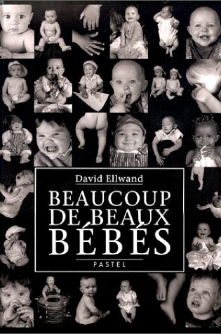 Cover of Beaucoup de beaux bebes