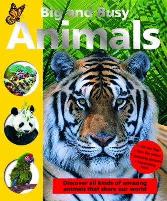 Cover of Big & Busy Animals