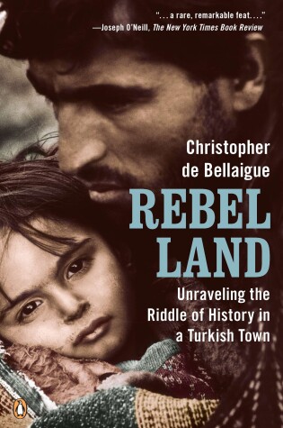 Cover of Rebel Land