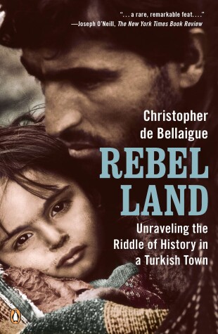 Book cover for Rebel Land