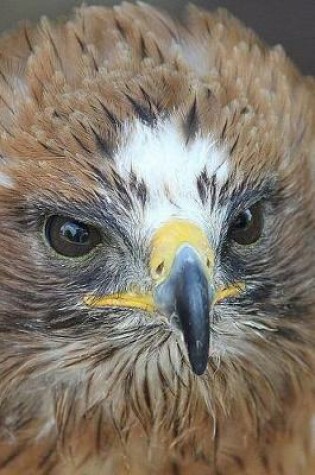 Cover of Booted Eagle (Hieraaetus Pennatus) Portrait Journal