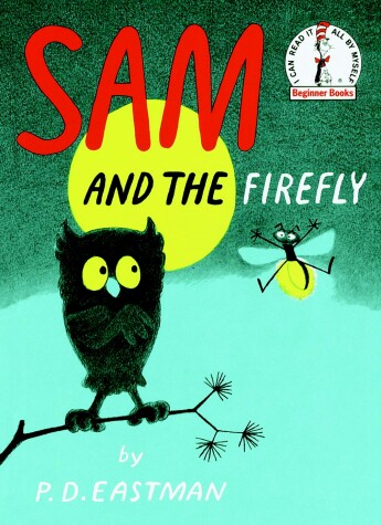 Book cover for Sam and the Firefly