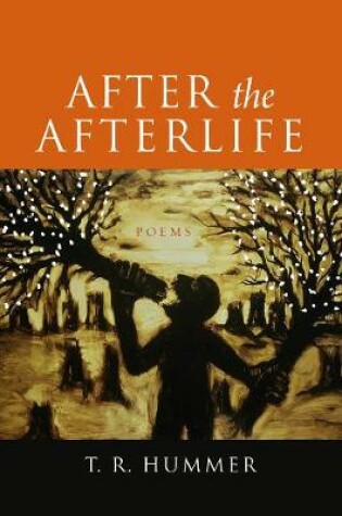 Cover of After the Afterlife – Poems