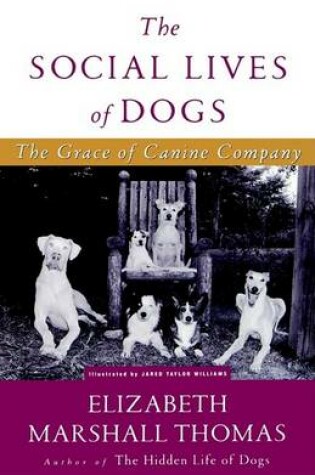 Cover of The Social Lives of Dogs