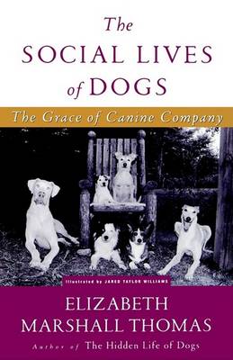 Book cover for The Social Lives of Dogs