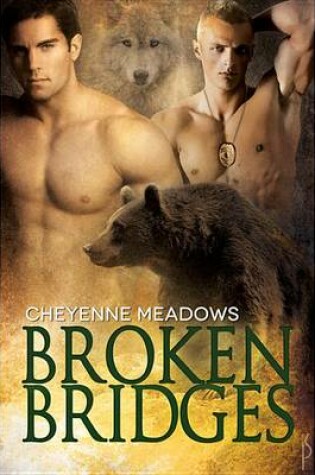 Cover of Broken Bridges