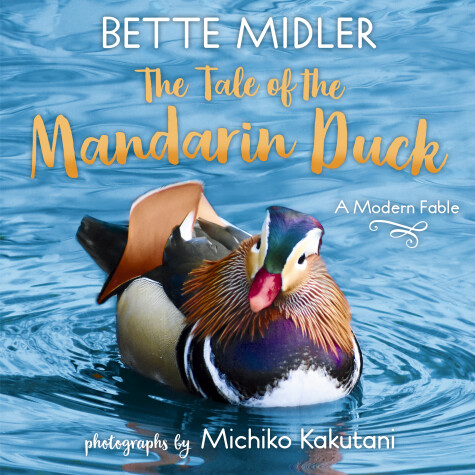 Cover of The Tale of the Mandarin Duck