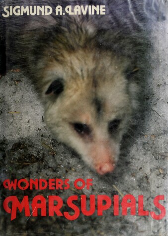 Book cover for Wonders of Marsupials
