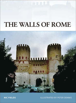 Book cover for The Walls of Rome