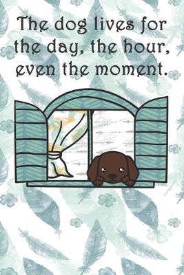 Book cover for The dog lives for the day, the hour, even the moment.