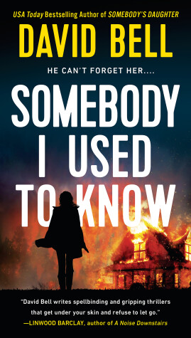 Book cover for Somebody I Used to Know