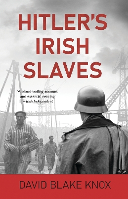 Book cover for Hitler's Irish Slaves