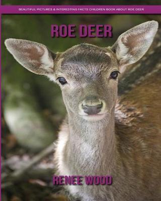 Book cover for Roe Deer