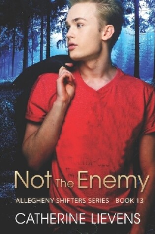 Cover of Not the Enemy