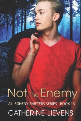 Cover of Not the Enemy