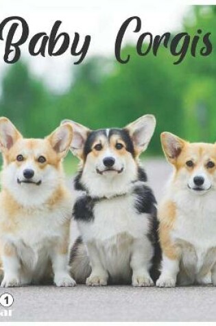 Cover of Baby Corgis 2021 Calendar