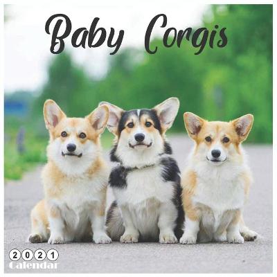 Book cover for Baby Corgis 2021 Calendar