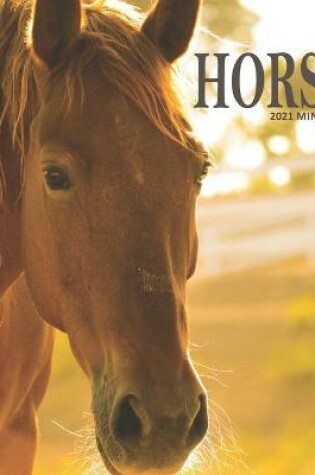 Cover of Horses