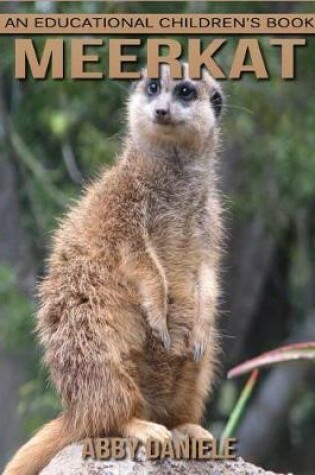 Cover of Meerkat! An Educational Children's Book about Meerkat with Fun Facts & Photos