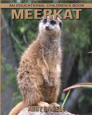 Book cover for Meerkat! An Educational Children's Book about Meerkat with Fun Facts & Photos